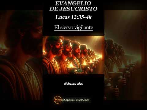 EVANGELIO DE HOY   Martes 22 de Octubre 2024 ? Reflexio?n, Mensaje y Bendicio?n del Di?a