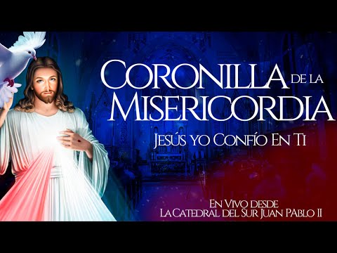 CORONILLA A LA DIVINA MISERICORDIA l DIA DE LOS ABUELOS l PadreOscardelaVega