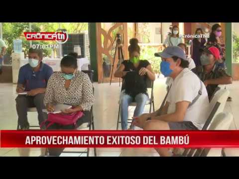 MEFCCA inició nuevo curso nacional sobre aprovechamiento del bambú – Nicaragua