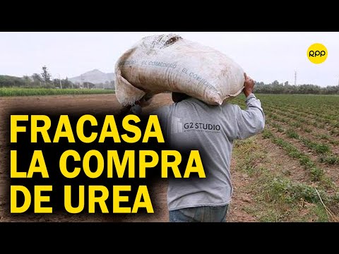 Fracasa la compra de urea para agricultores peruanos: “Cuatro licitaciones que se han caído