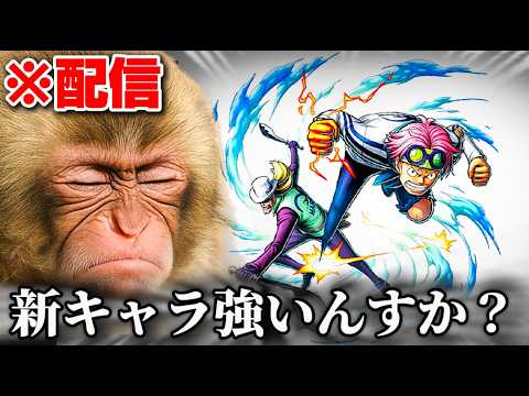 新キャラ強いんかな？？？参加型配信やります。[バウンティラッシュ]