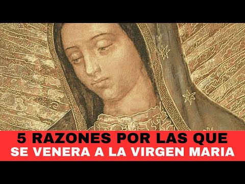 5 razones por las que un católico venera a la VIRGEN MARIA