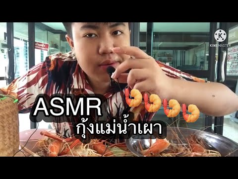 ASMR-กินกุ้งแม่น้ำเผา-โคตรแซ่บ ASMR-กินกุ้งแม่น้ำเผา-โคตรแซ่บ