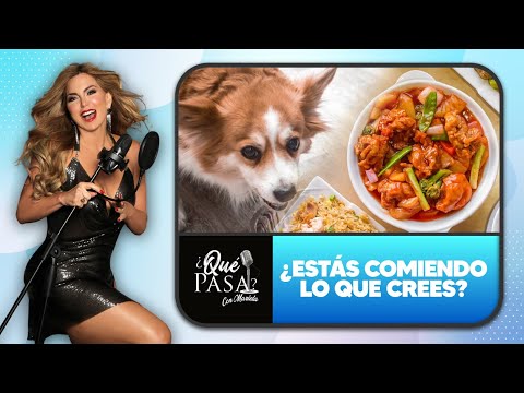 Pollo o perro: ¿Cómo saber lo que realmente estás comiendo? | ¿Qué Pasa? con Mariela