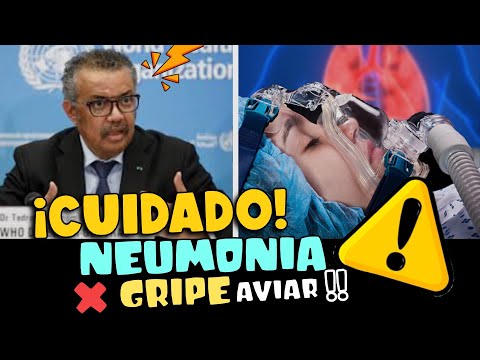 ¡CUIDADO! OMS REVELA CÓMO ES LA NEUMONÍA POR GRIPE AVIAR