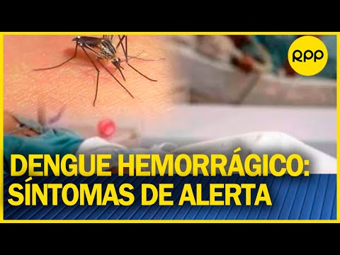 La Libertad: Niña muere a causa de dengue hemorrágico
