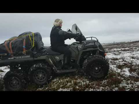 Keturratis / Triratis Polaris Beast 2018 m