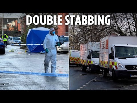 Two found stabbed to death on the same street - as cops arrest man on suspicion of murder