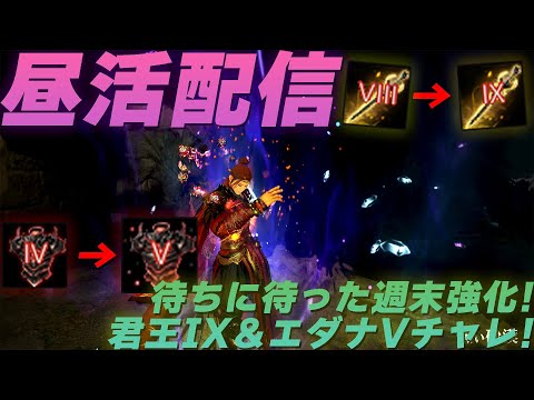 昼活配信！待ちに待った週末強化の日！ぎり10回たたけないので金策して君王IX＆エダナVチャレ！今週こそは通ってほしいぞ！【黒い砂漠】