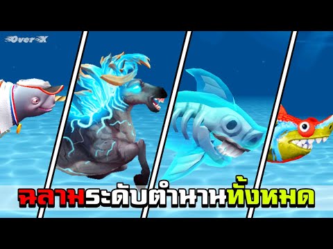 ฉลามหายากทั้งหมด|HungryShar