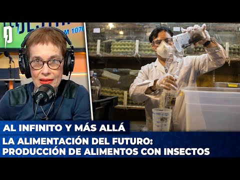 La producción de alimentos con insectos en Argentina | AL INFINITO Y MÁS ALLÁ con Nora Bär