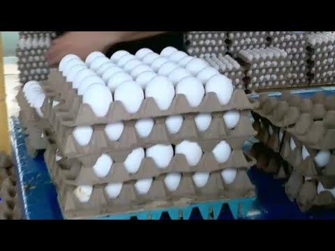 Cartón de huevos al alza
