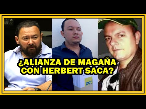 Arturo Magaña, Herbert Saca y la división en GANA | FMLN en monumento reconciliación