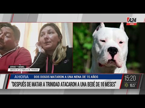 Tragedia en Córdoba: dos perros matan a una adolescente de 15 años