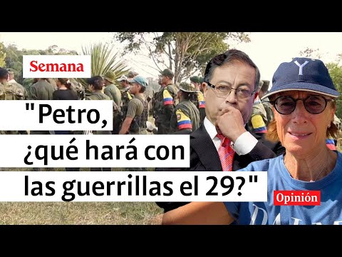 Petro; Farc y ELN manipulan las elecciones en Colombia: Salud Hernández-Mora
