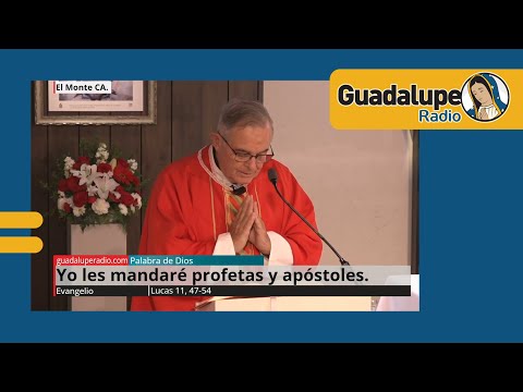 Evangelio de hoy 17/octubre/2024