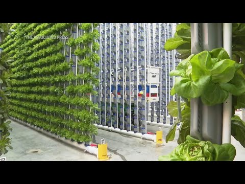 Indoor farms bloom despite challenges