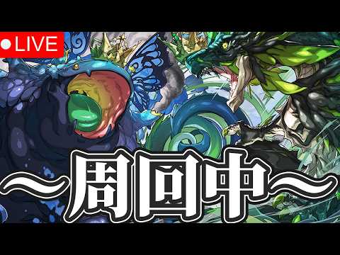 風雲常設されたから周回を引き続きやっていこうのやつ　質問いつでもなんでも〜【パズドラ配信】