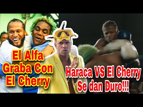 ¡SE ARM0OO! HARACA KIKO VS EL CHERRY SCOM EL ALFA GRABA CON EL CHERRY