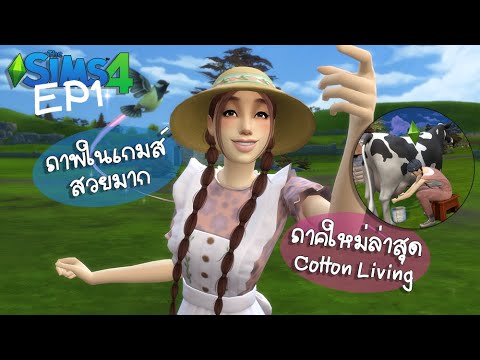 (รีวิว)ภาคCottonLivingเลี้