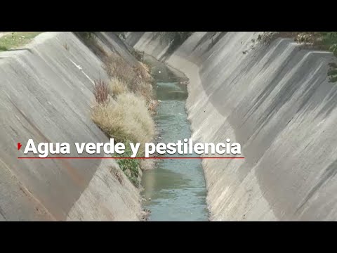 Mal olor y desperdicios de empresas; así es el RÍO VERDE de Puebla