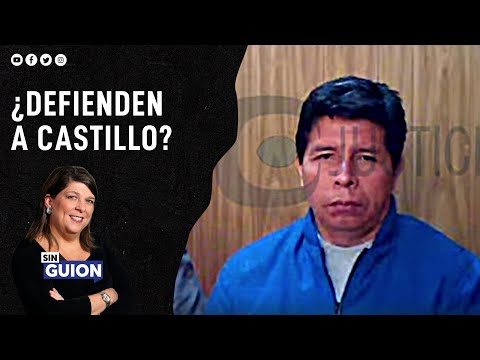 ¿Que? opinan los presidentes sobre el golpe de Pedro Castillo?