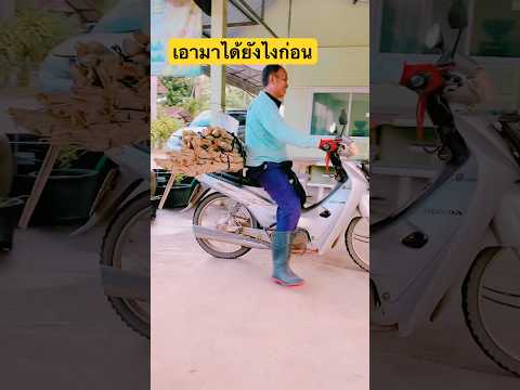 เอามาได้ไงอ้อยอ้อยสุพรรณบุรี