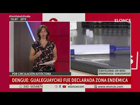 Dengue  Gualeguaychú fue declarada zona endémica