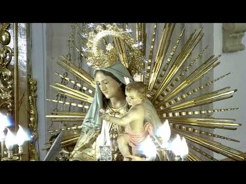 + XV DOMINGO DEL TIEMPO ORDINARIO. ( MISA DE LA TARDE). NOVENA NTRA. SRA. DEL CARMEN.