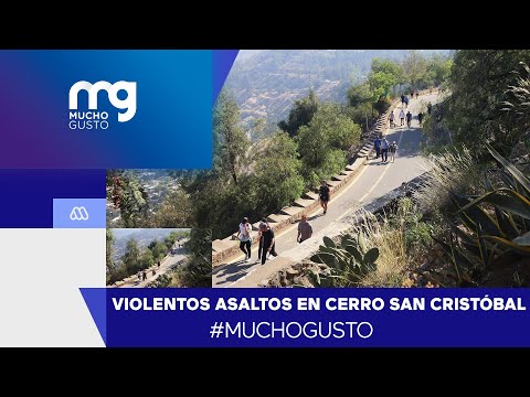 Mucho Gusto | Denuncian asaltos en el Cerro San Cristóbal: Banda especializada en robos a ciclistas