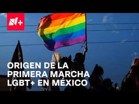 ¿Cuándo Fue la Primera Marcha LGBTQ+ en México?