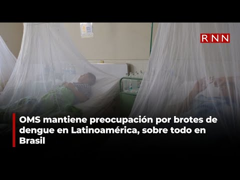 OMS mantiene preocupación por brotes de dengue en Latinoamérica, sobre todo en Brasil