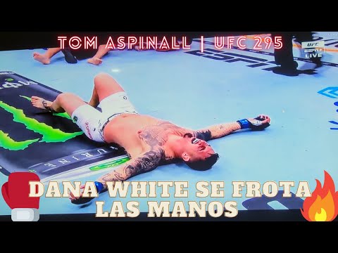 UFC 295: TOM ASPINAL, ¿por qué su triunfo es una bendición?