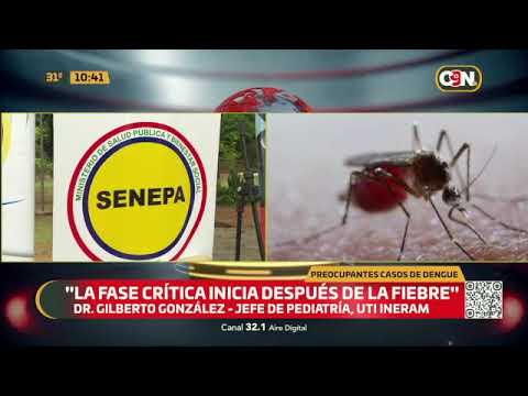 Preocupantes casos de dengue en niños