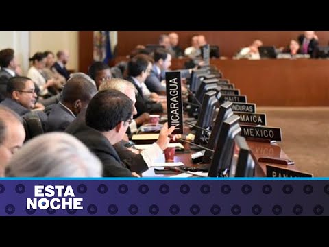 OEA debate sobre los juicios políticos y condenas a reos de conciencia del régimen de Daniel Ortega