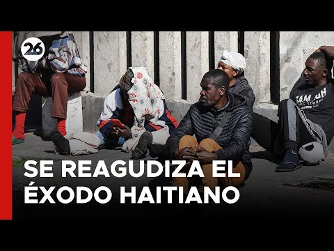 MÉXICO | Se reagudiza el éxodo haitiano