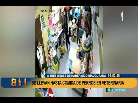 Chorrillos: roban ganancias de veterinaria y se llevan hasta la comida para perros