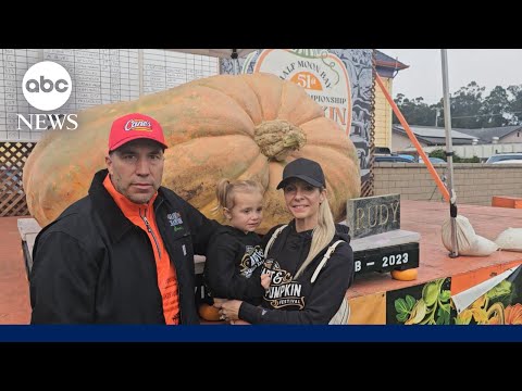 Pumpkin weighing 2,471 pounds wins annual Half Moon Bay pumpkin weigh-off