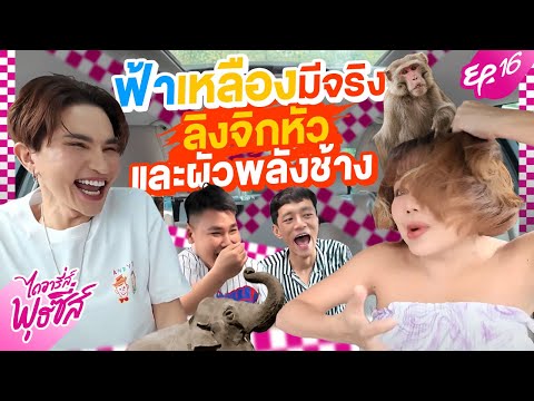 ไดอารี่ส์พุธซี่ส์EP.16-ลิงจ