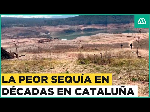 La grave sequía en Cataluña: Zonas sin agua y embalses a menos del 7% de capacidad