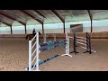 Show jumping horse Casallco gelding for the big classes!