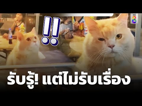 พ่อค้ายำไม่สนใจลูกค้าเลย|So