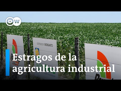 Activistas denuncian el uso de pesticidas a gran escala en Sudamérica
