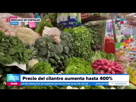 Así la situación en el Mercado de Portales ante el aumento del precio del cilantro