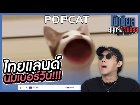 POPCAT-มาจากไหน!-ทำไมถึงเป็นไว POPCAT-มาจากไหน!-ทำไมถึงเป็นไว
