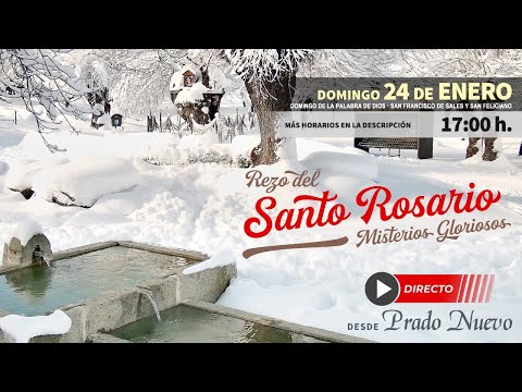 Domingo 24 de Enero, 17:00 h: Santo Rosario (Misterios Gloriosos) en directo desde Prado Nuevo