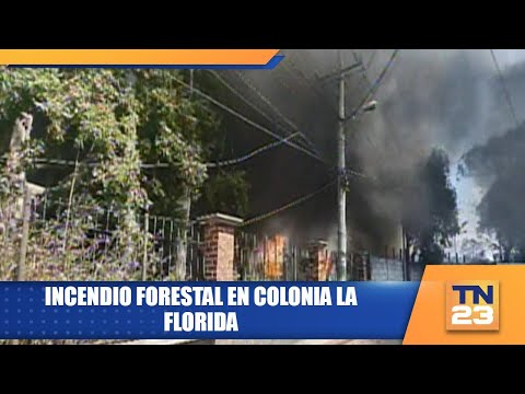 Incendio forestal en colonia La Florida