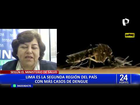Surco: detectan potenciales criaderos del zancudo transmisor del dengue en 3 parques del distrito