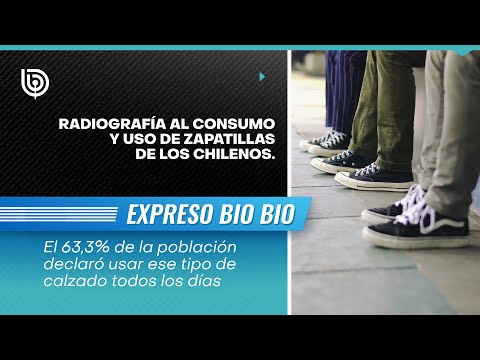 Radiografía al consumo y uso de zapatillas de los chilenos: 63% las usa todos los días