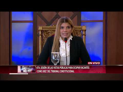 Evaluación de Pilar Antonia Rufino Díaz postulante a juez para el Tribunal Constitucional